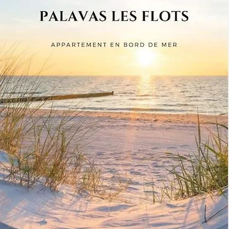 Apartment Les Flots T2 + Parking Prive *